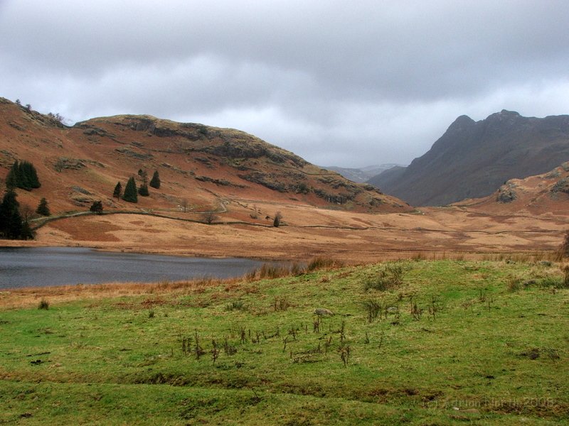 DSCF5820.JPG - Blea Tarn