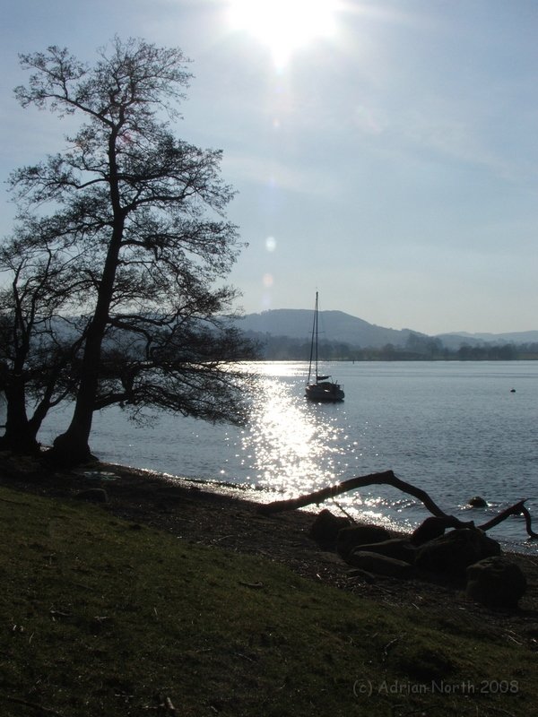 DSCF6006.JPG - Holme Crag, Windermere