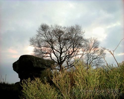 brimham.JPG - Brimham Rocks